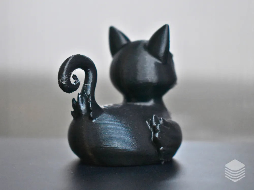 Black Cat Duck
