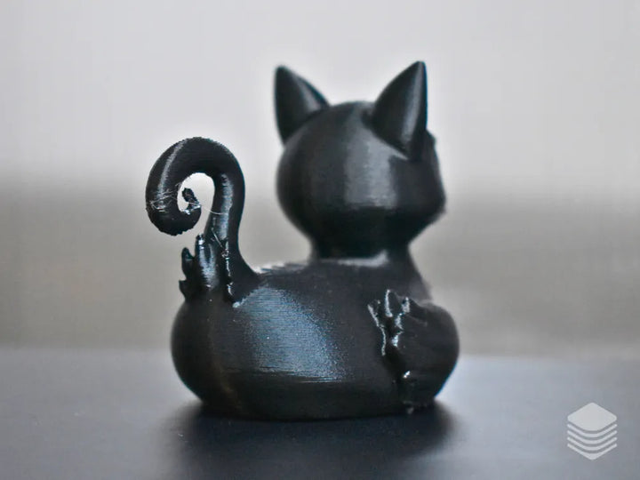 Black Cat Duck