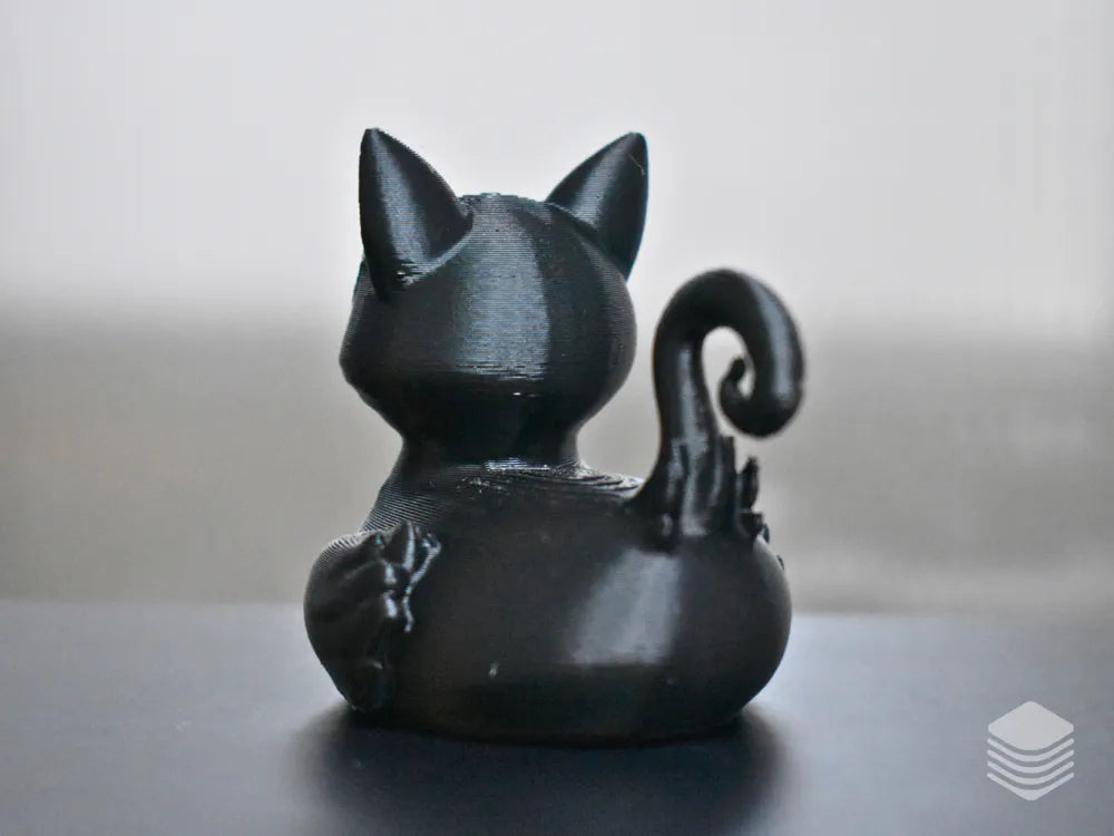 Black Cat Duck