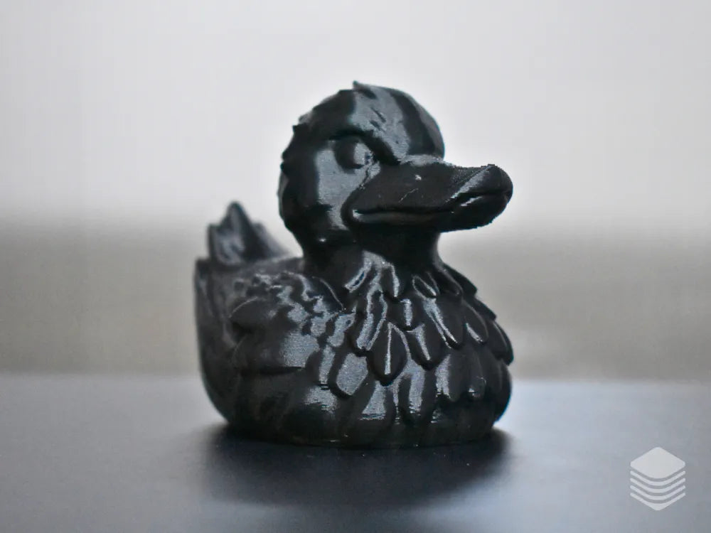 Black Raven Duck