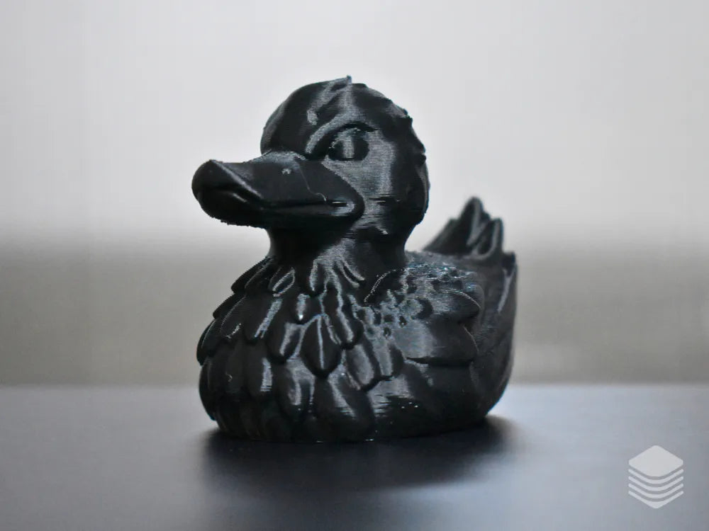 Black Raven Duck