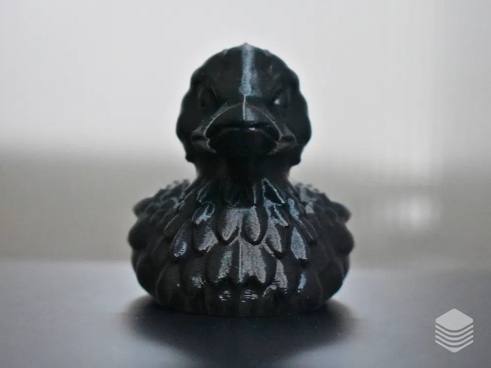 Black Raven Duck
