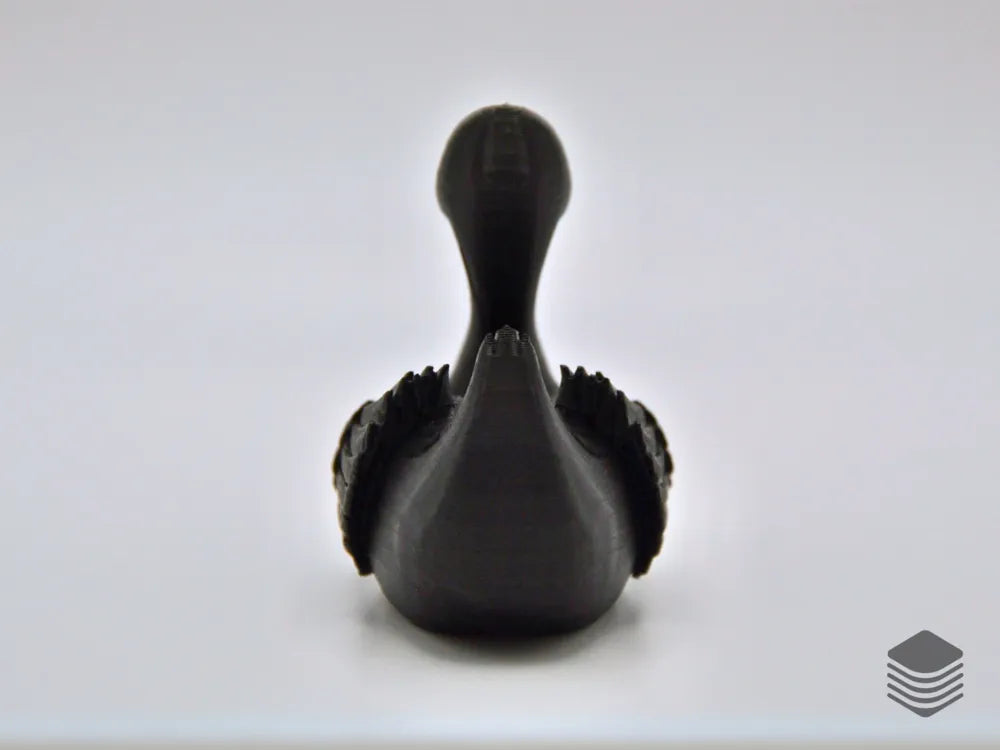 Black Swan Duck
