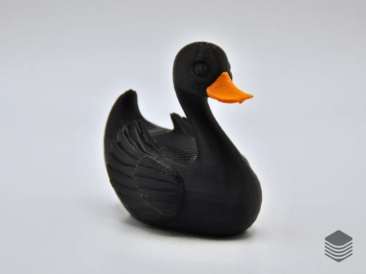 Black Swan Duck