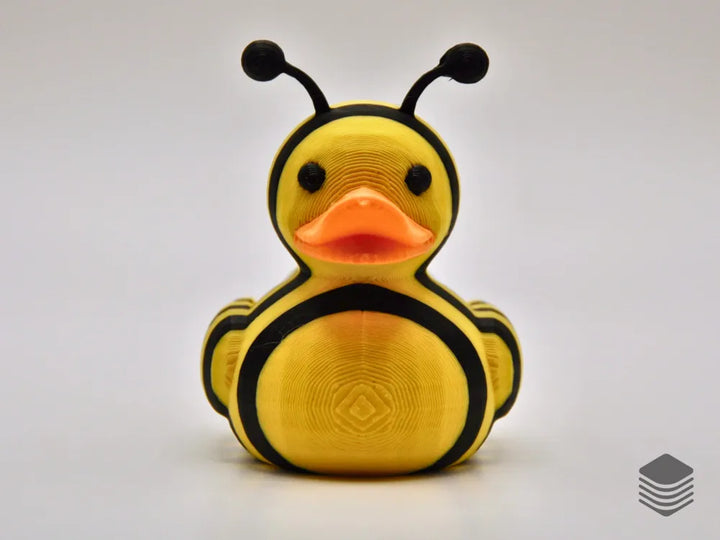 Bumblebee Duck