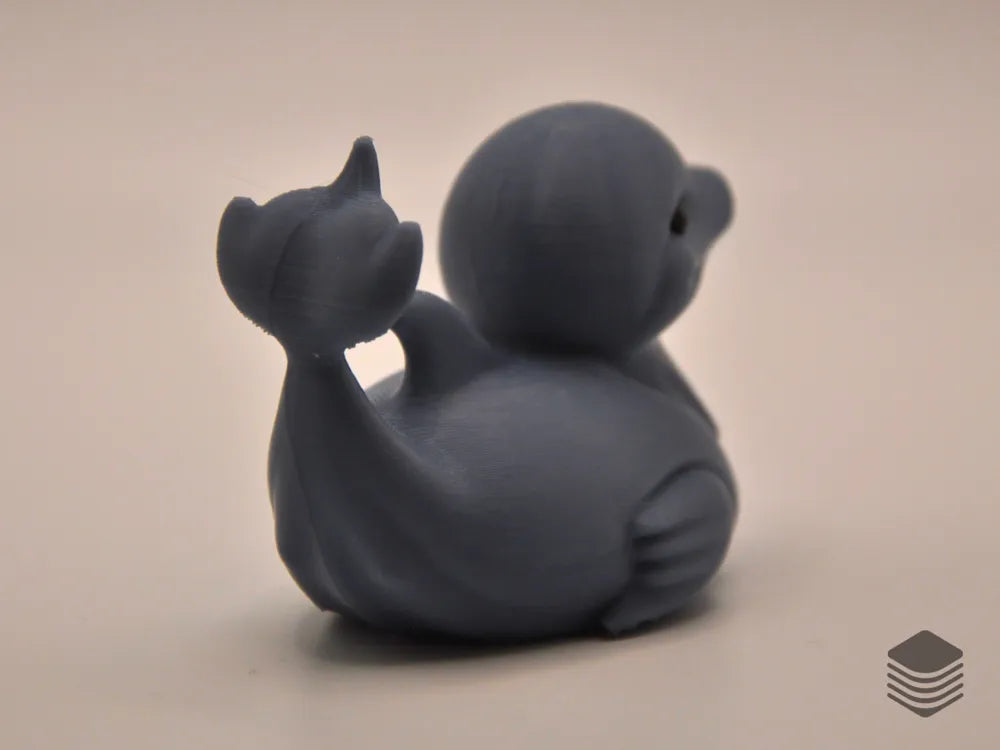 Dolphin Duck