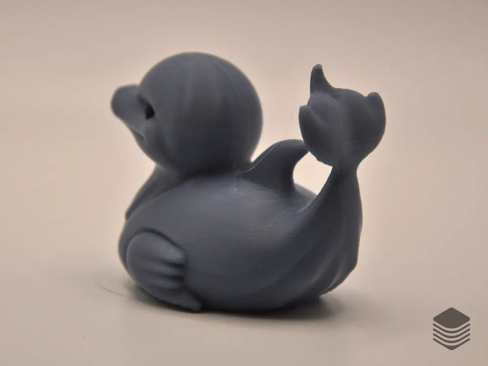 Dolphin Duck