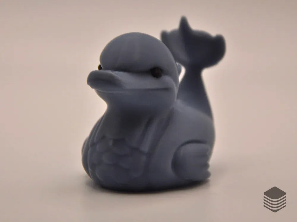 Dolphin Duck