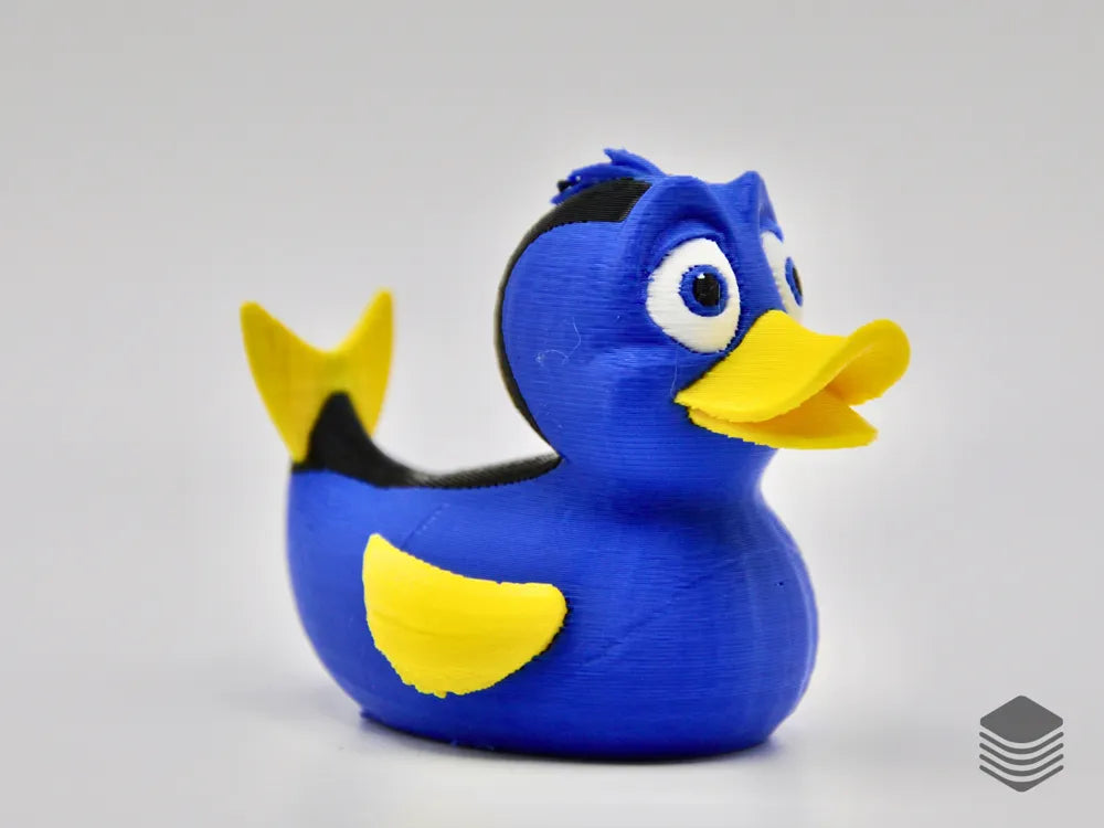 Dory Duck