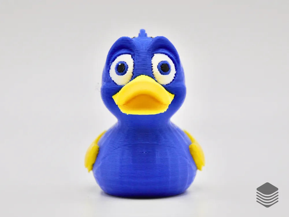 Dory Duck