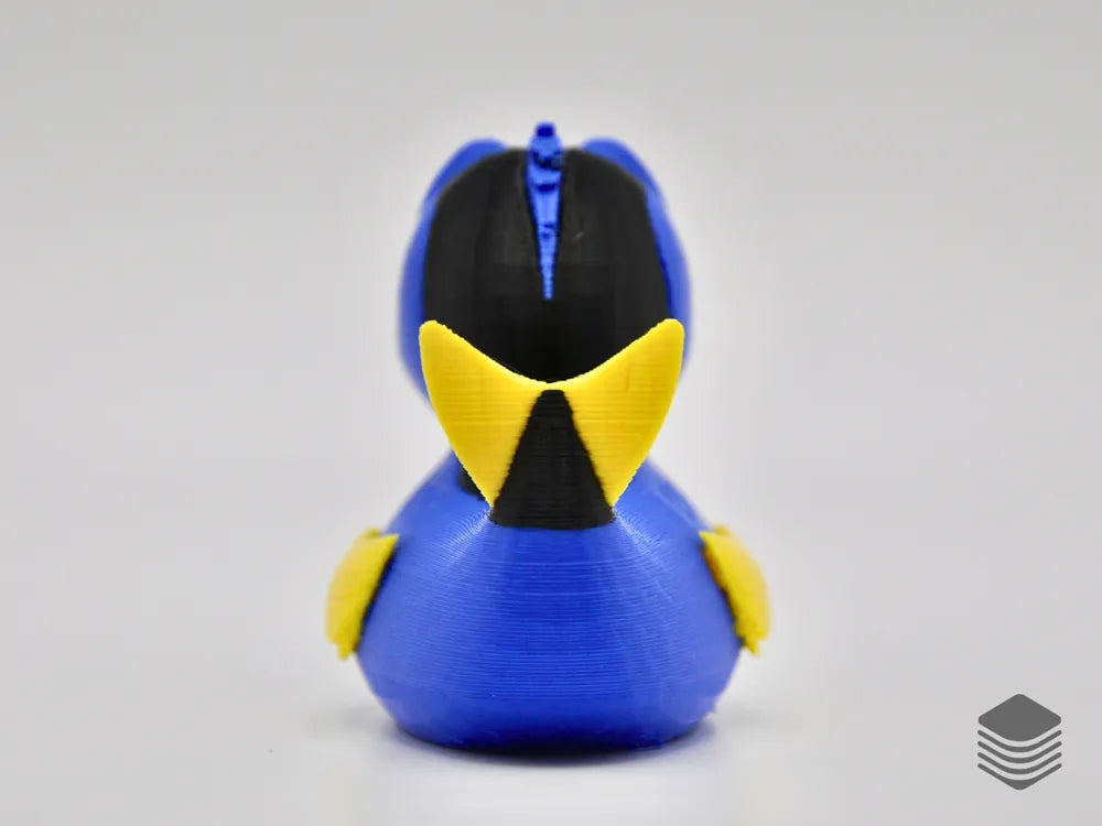Dory Duck