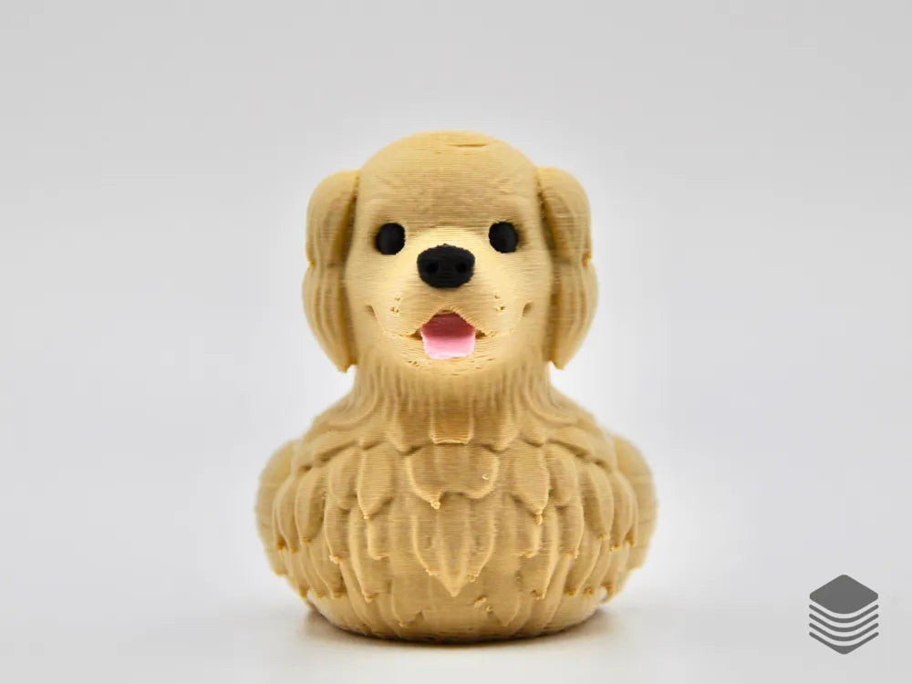 Golden Retriever Duck