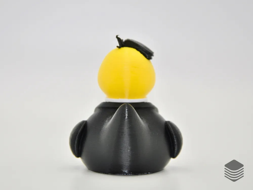 Groom Duck