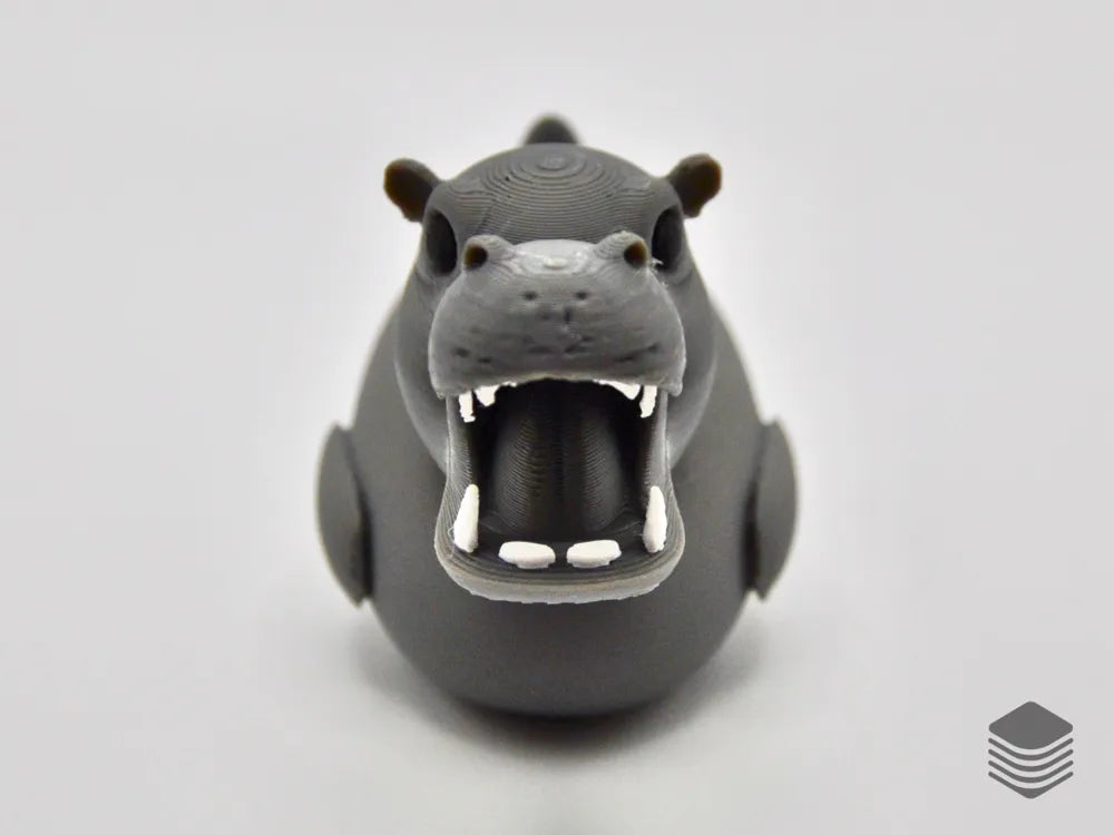 Hippo Duck