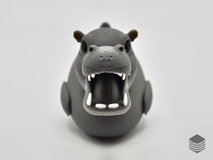 Hippo Duck
