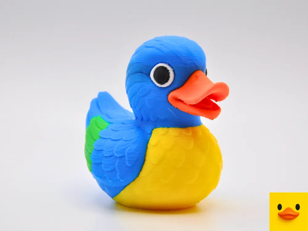 Macaw Duck
