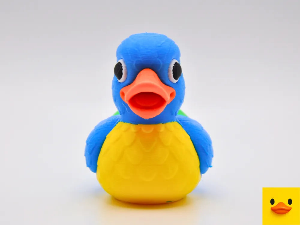 Macaw Duck