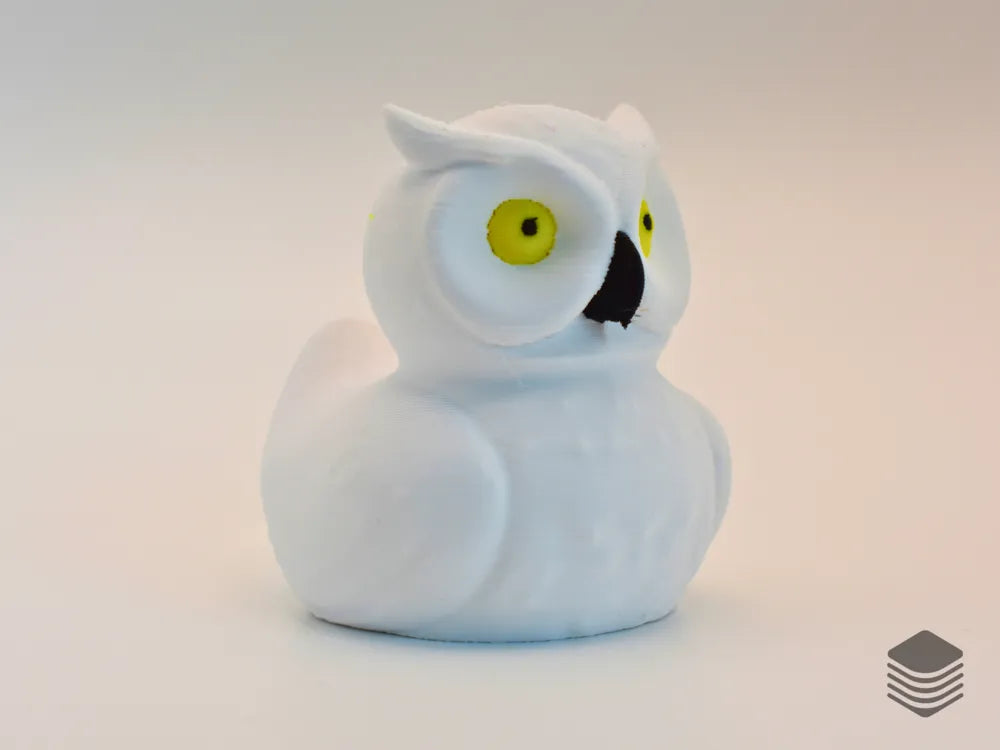 Owl Duck