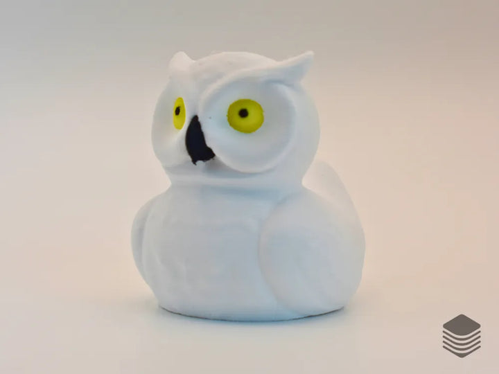 Owl Duck