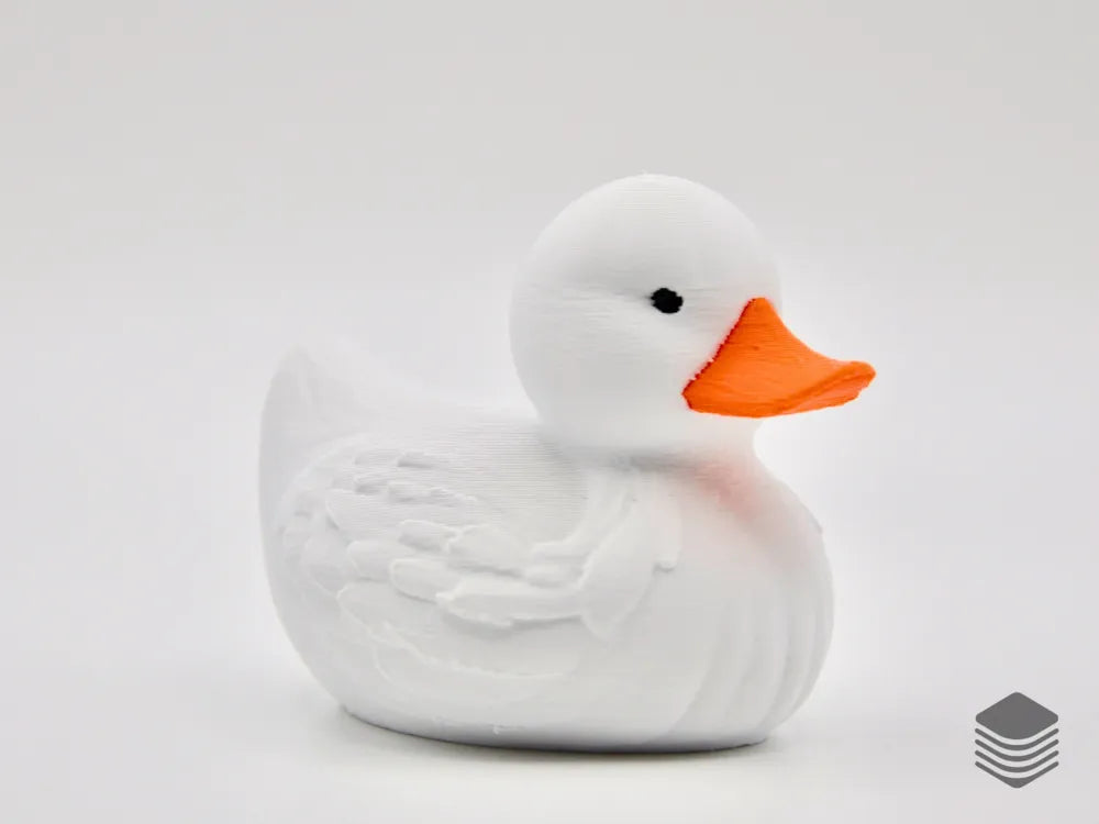 Pekin Duck