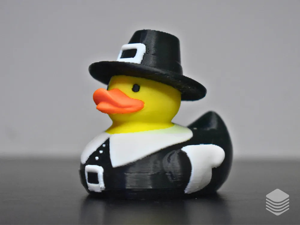 Pilgrim Duck