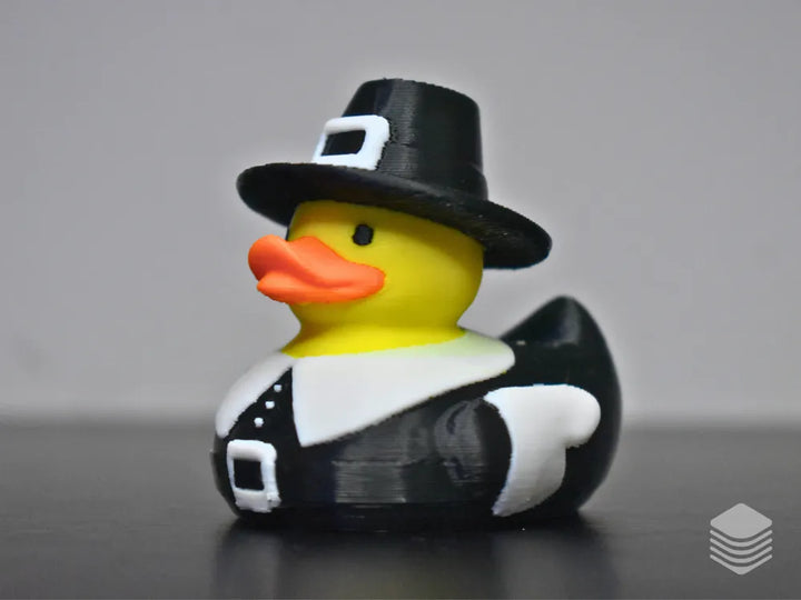 Pilgrim Duck