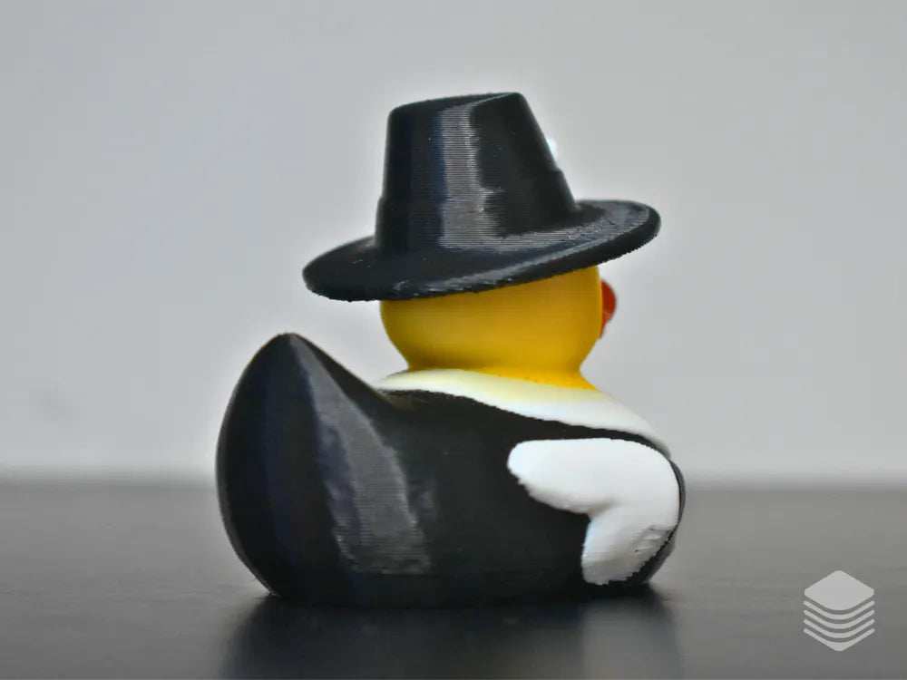 Pilgrim Duck