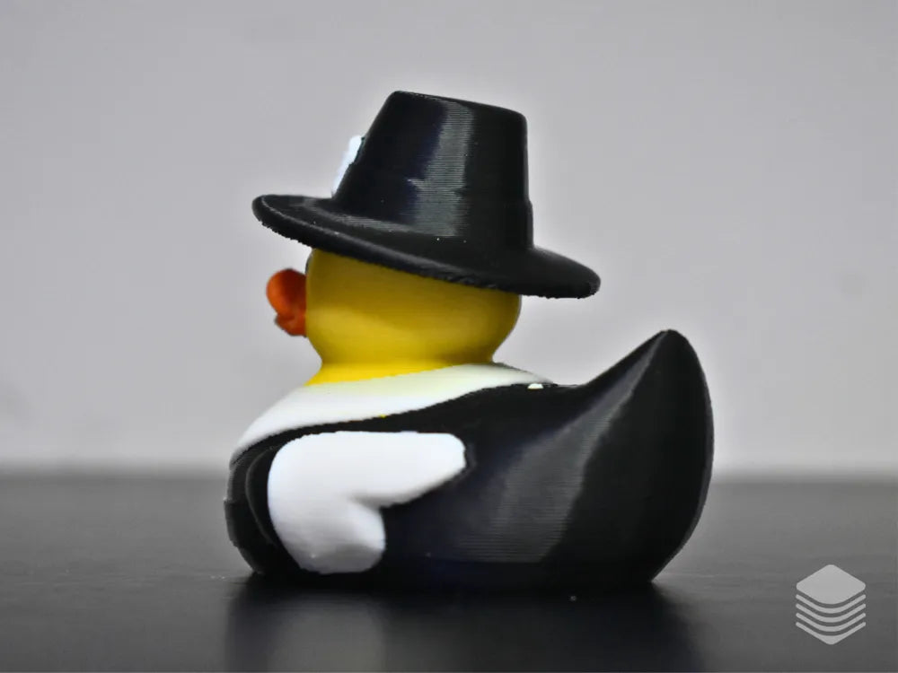 Pilgrim Duck