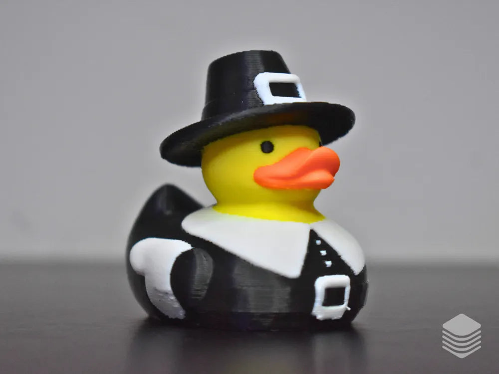Pilgrim Duck