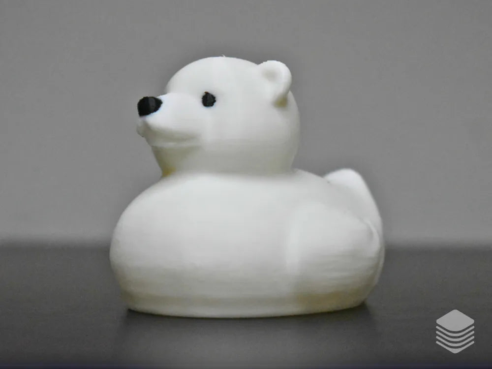 Polar Bear Duck