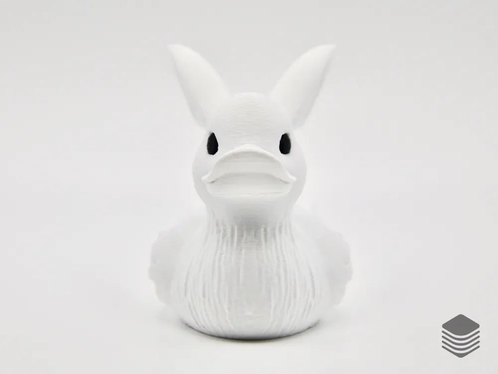 Rabbit Duck