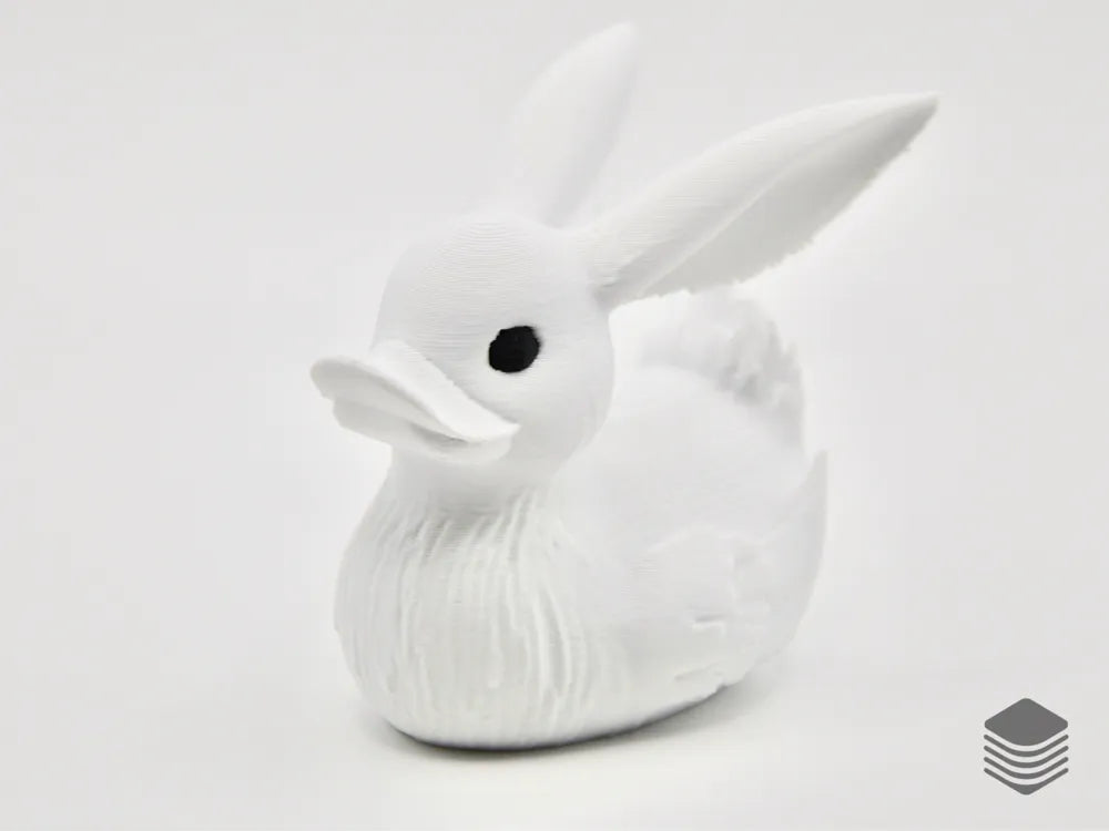 Rabbit Duck