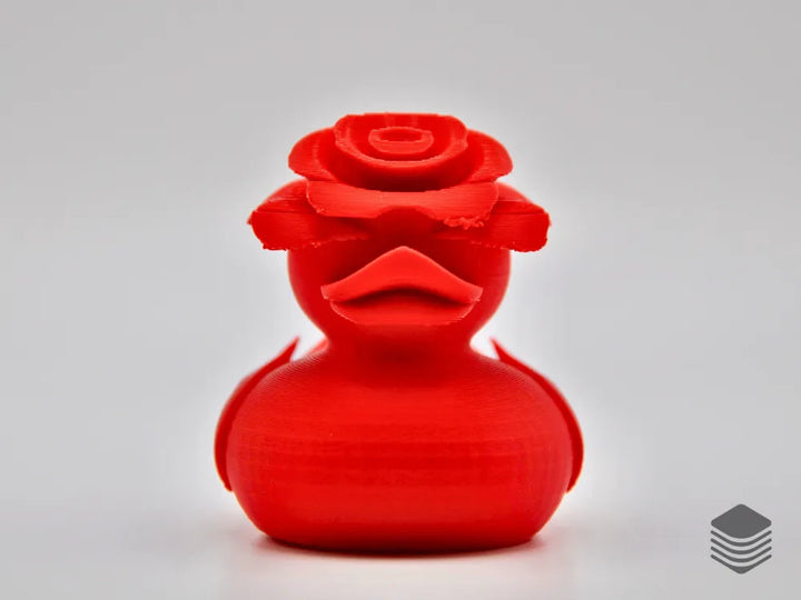 Rose Duck