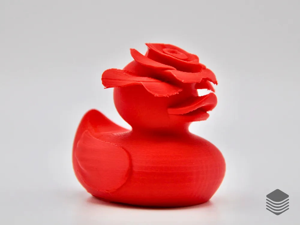 Rose Duck
