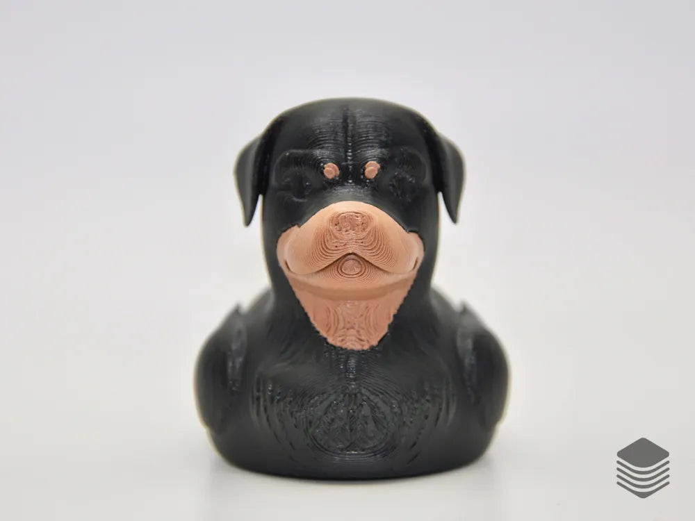 Rottweiler Duck