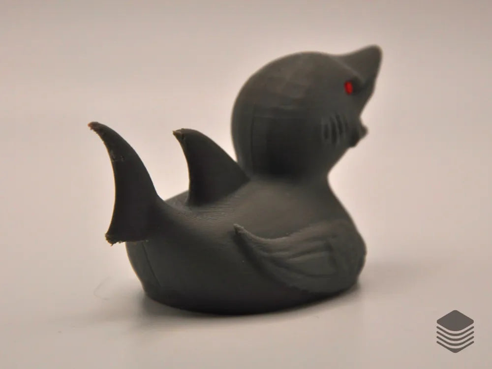 Shark Duck