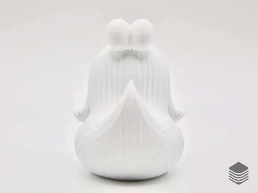 Shih Tzu Duck