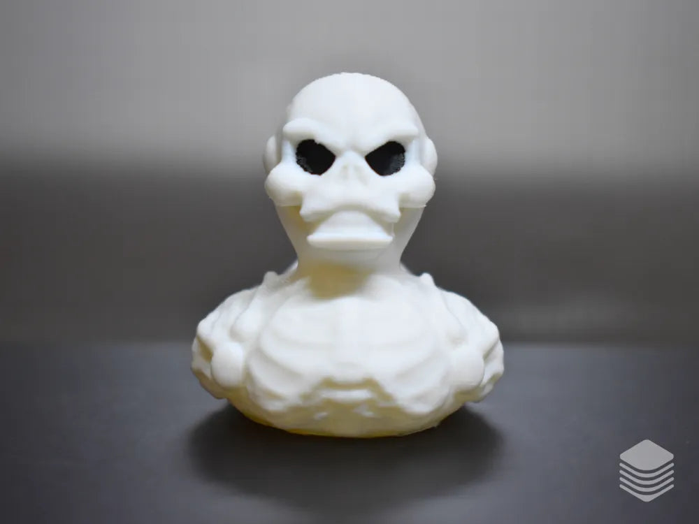 Skeleton Duck