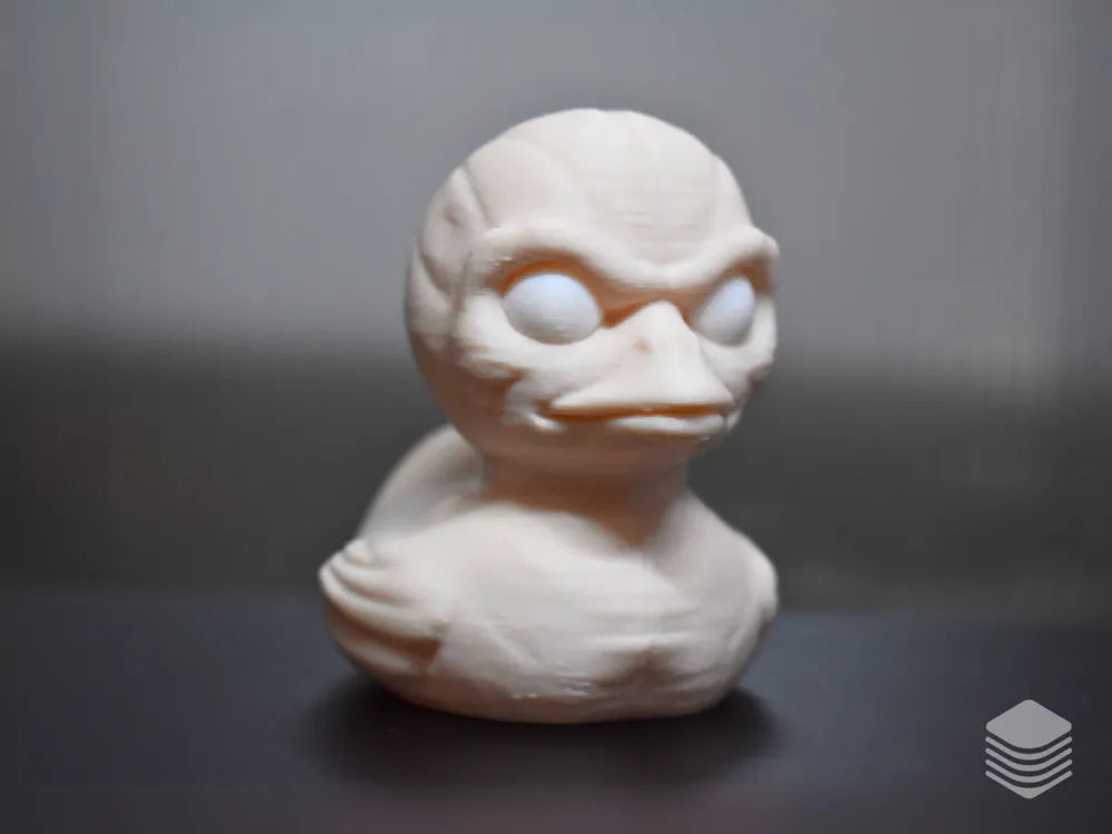Skinned Creature Duck