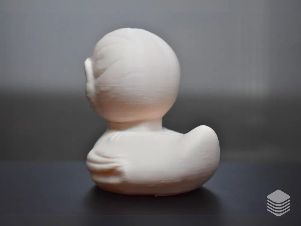 Skinned Creature Duck