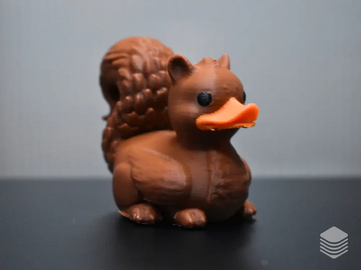 Squirrel Duck