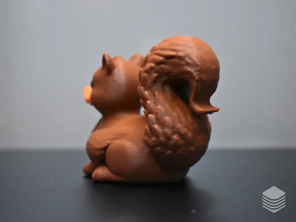 Squirrel Duck