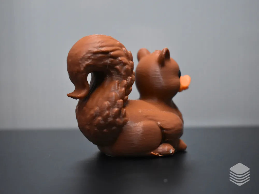 Squirrel Duck