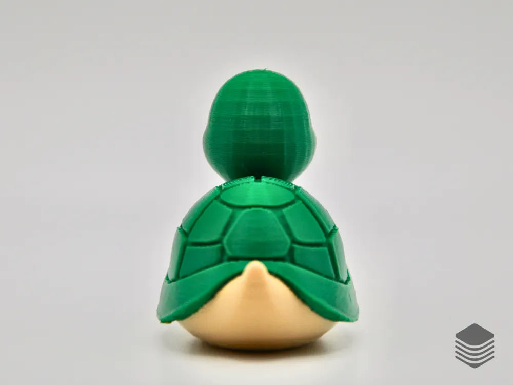 Turtle Duck