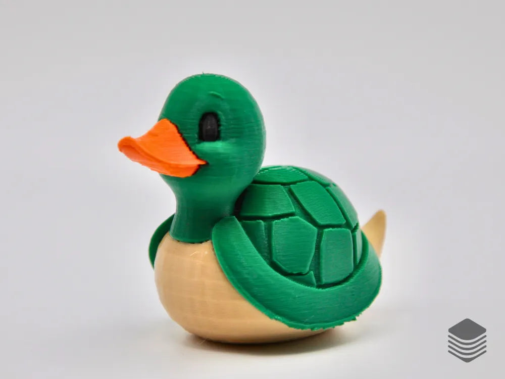 Turtle Duck
