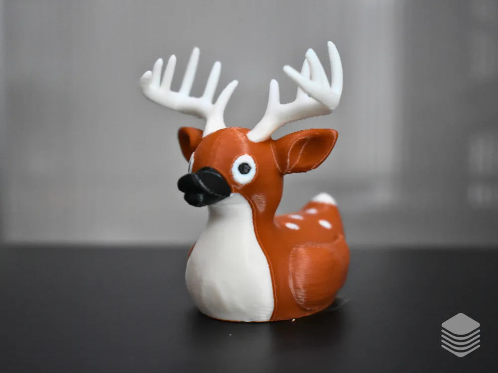 White Tailed Deer Duck