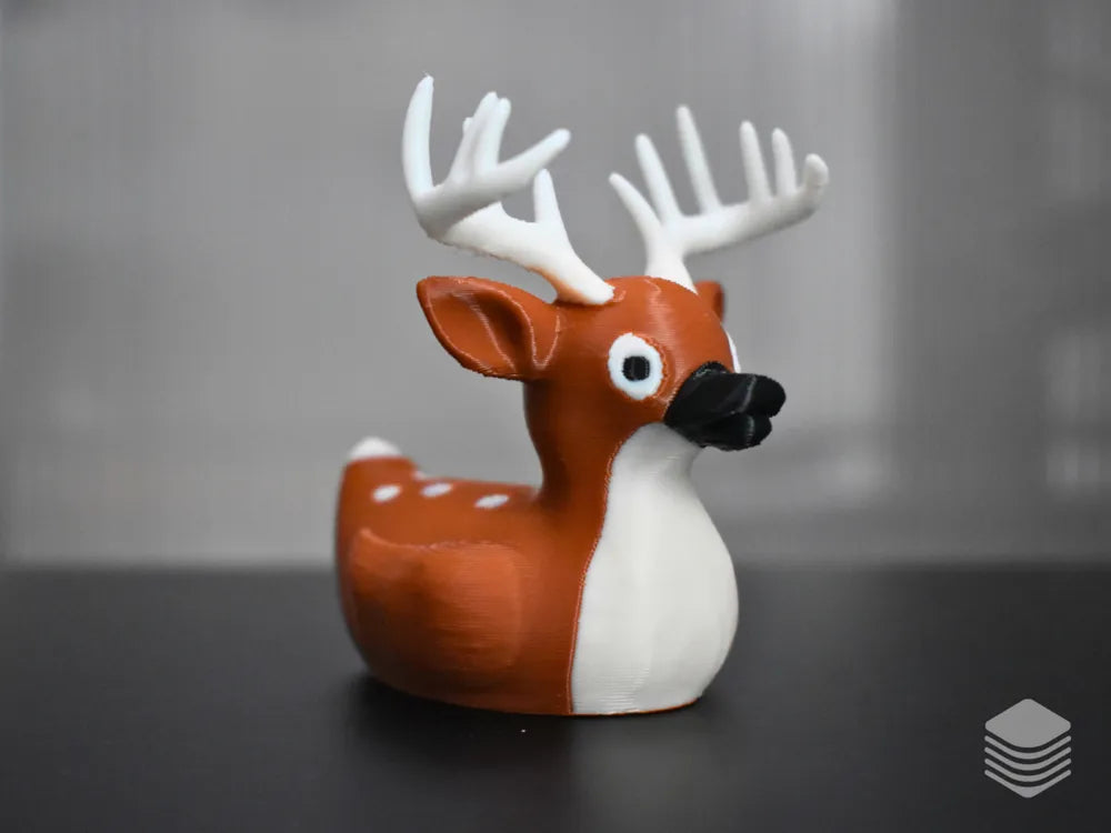 White Tailed Deer Duck