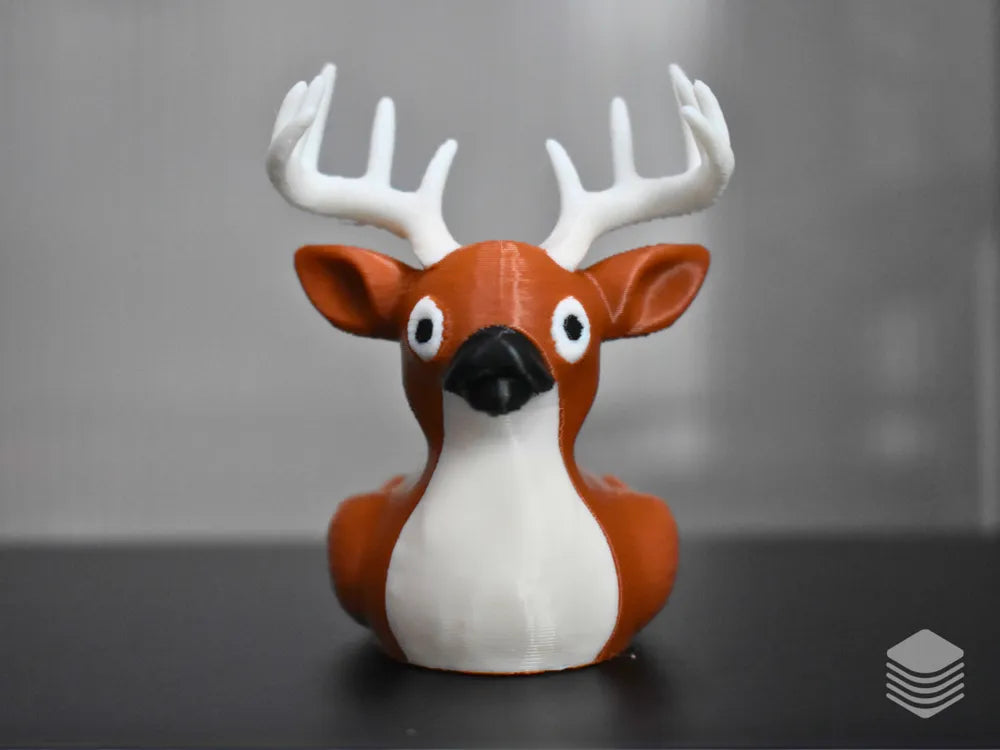 White Tailed Deer Duck