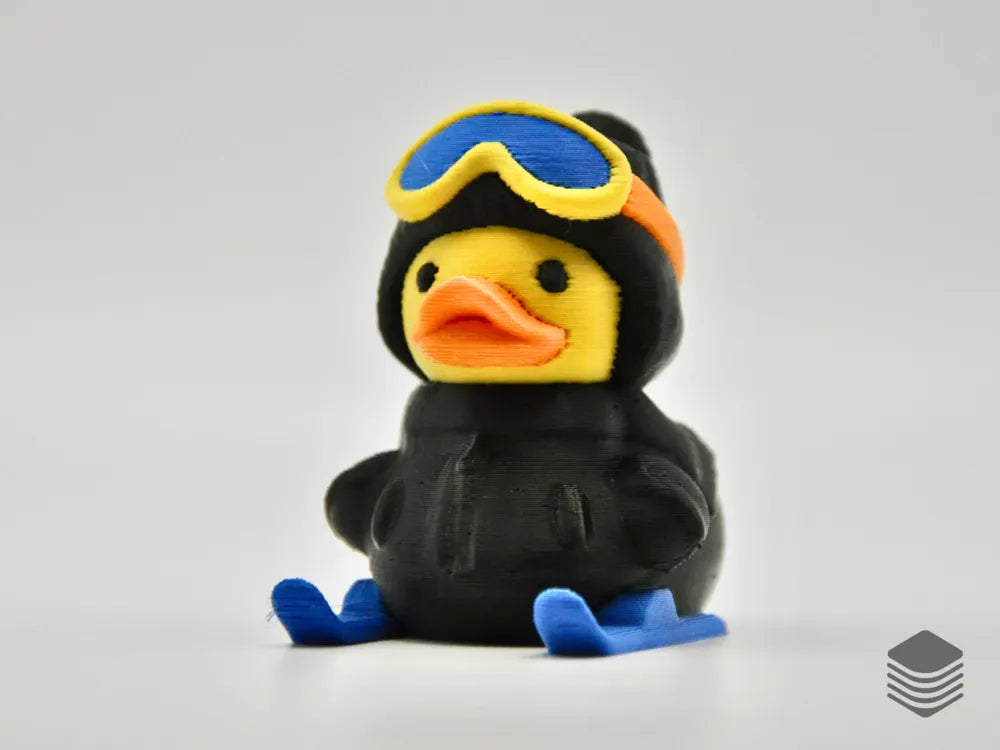 Winter Ski Duck