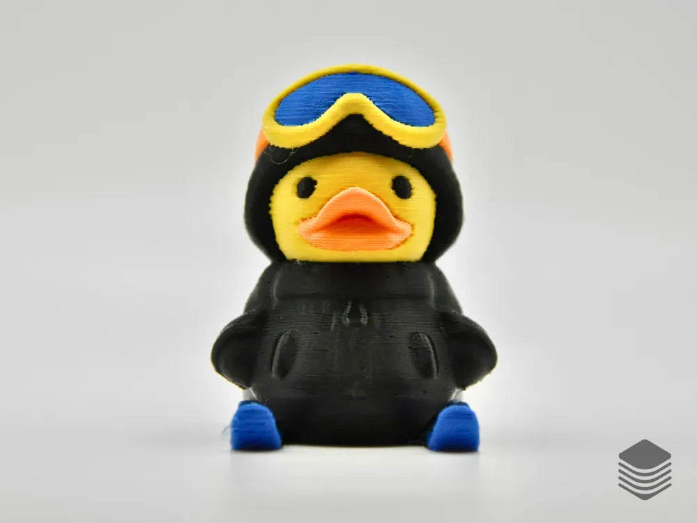 Winter Ski Duck